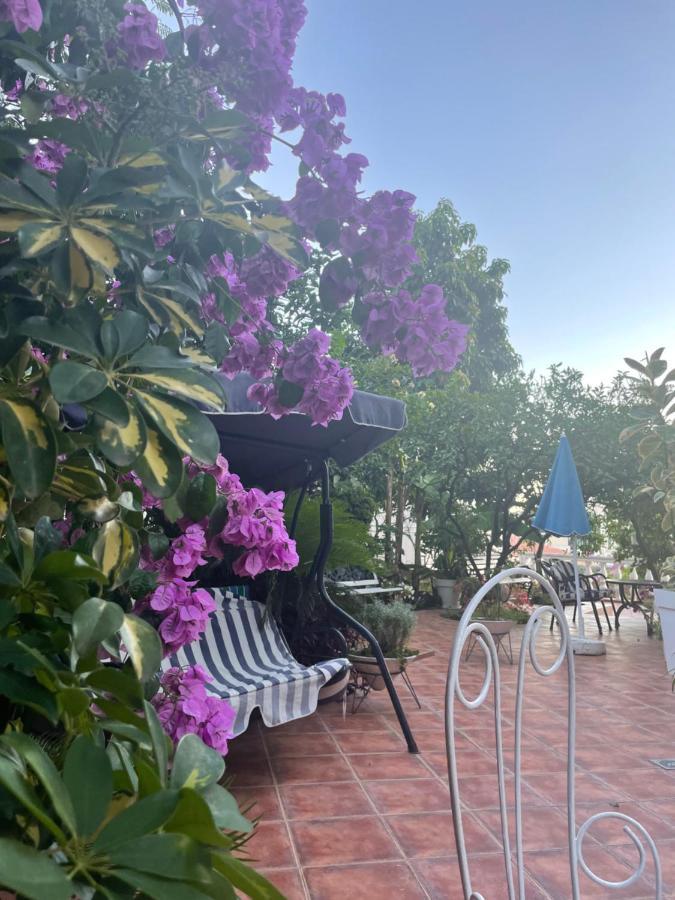 Apartmani Iva Becici Esterno foto